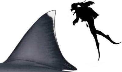 '고대 바다의 공포' 메갈로돈, 등지느러미만 1.62ｍ 사람 크기
