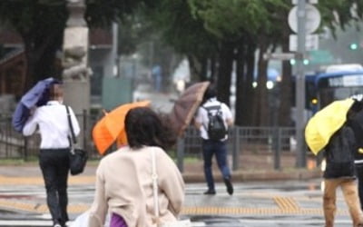 태풍 '하이선' 영향 전국 강풍에 비…강원영동·경상도 강한 비