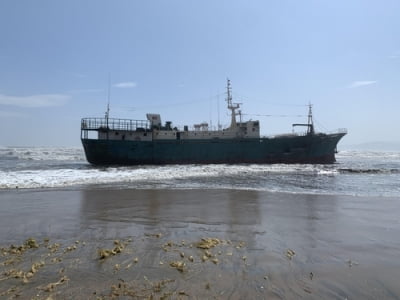 [에따블라디] 태풍만 불면 해변에 불쑥불쑥 나타나는 北어선들