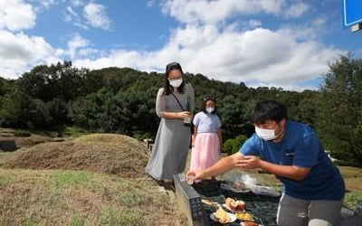 "고향 가도 성묘 못 할 수도"…올해는 '비대면 추석'으로