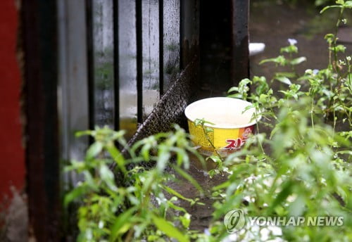 "짜장면 배달도 못 오게 해"…'라면 형제'의 예견된 비극