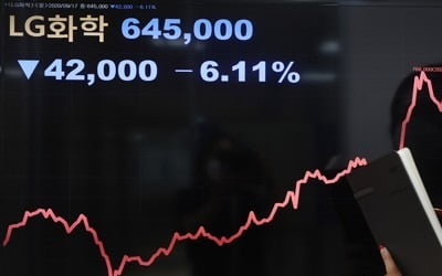 LG화학 "배터리 IPO 바로 추진해도 1년 걸린다…비중은 20∼30%"