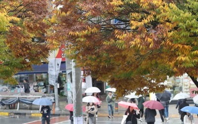 구름 많고 일교차 큰 금요일…강원 영동엔 비바람