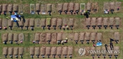 공원묘지 이른 성묘 행렬 '북적'…관광지 '추캉스' 분위기 고조