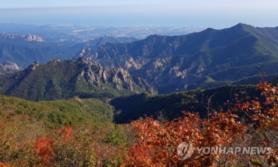 울긋불긋 설악산 고운 단풍 볼 수 있을까