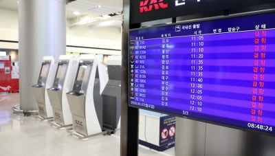 태풍 '하이선'에 국내선 항공기 298편 무더기 결항