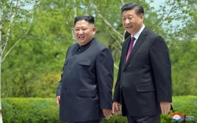 시진핑 "김정은과 함께 한반도 평화·안정 추동 용의 있다"
