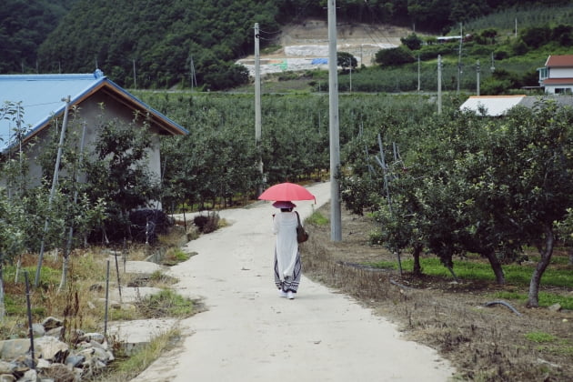 가을 사색의 길을 걸어보세요 