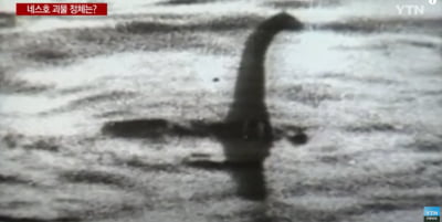 "네스호에 괴물이 산다?"…초음파 사진으로 커다란 물체 발견