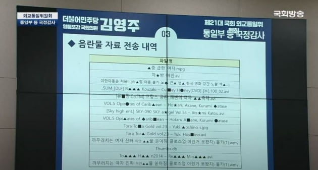 '급한 여자.avi'…與 의원에 불법 음란물 보낸 민주평통