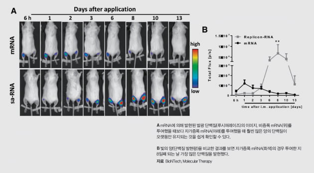 [커버스토리-part.4] mRNA 백신, 효율성 높여 백신 시장 장악한다