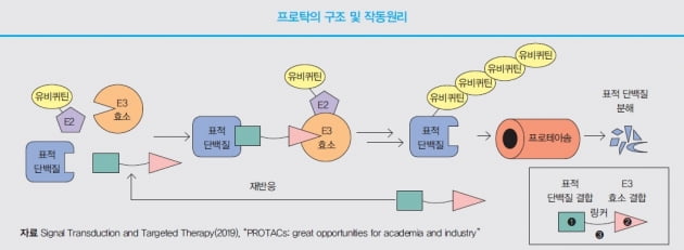 [배진건의 신약이야기] 나스닥 히어로 된 ‘키메라’…비결은 ‘죽음의 키스’