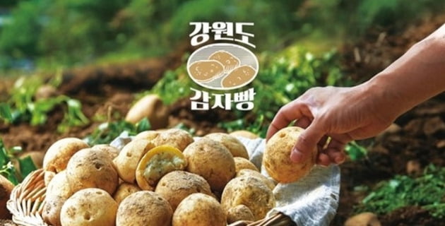 中서 대박난 SPC '감자빵'…韓 출시 직후 판매중단한 사연