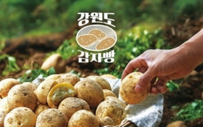 中서 대박난 SPC '감자빵'…韓 출시 직후 판매중단한 사연