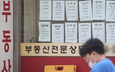 [단독] '숨은 세금', 중저가 아파트에 '직격탄'…권영세 "서민증세 현실화"