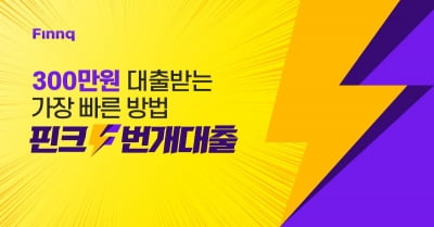 "최대 300만원 빌려주면서 심사는 단 20초" 핀크 '번개대출'