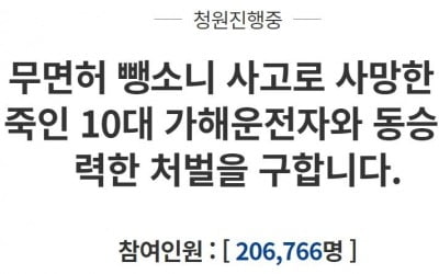 '추석 미성년자 뺑소니' 여대생 사망…"강력 처벌해달라" 청원 20만 돌파