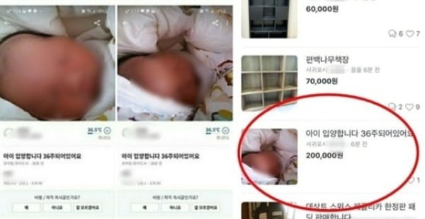 '아기 20만원' 당근마켓 올린 미혼모 "키우기 힘들 것 같았다"