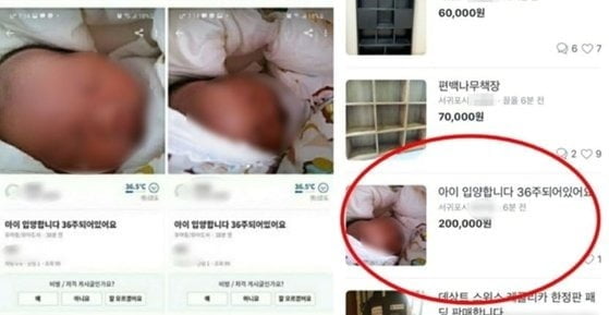 지난 16일 중고 거래 어플리케이션 '당근마켓'에 올라온 충격적인 판매글. 해당 게시글은 현재 삭제된 상태다. 사진 = 당근마켓 캡처