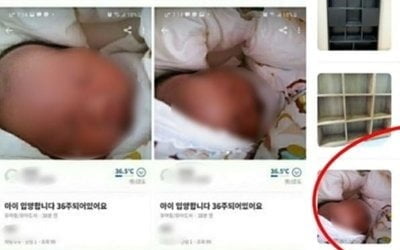 [법알못] 당근마켓 "아기 20만원에 입양" 글 올린 산모 처벌은?