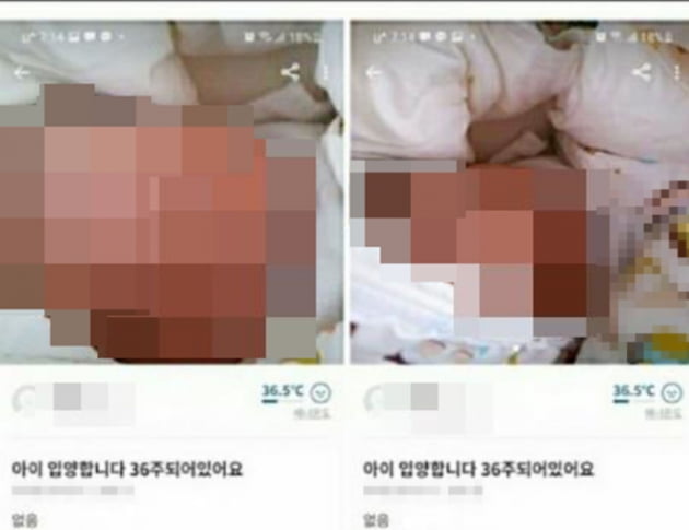 '36주 아이 20만원' 게시글 …경찰 