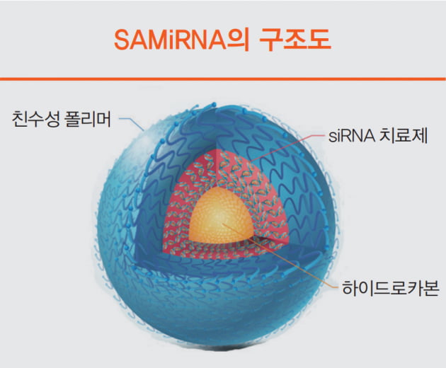 [커버스토리-part.3] 바이오니아 "독성 없는 SAMiRNA 기술 확보…폐섬유화증, 뇌질환 치료제 개발에도 도전"