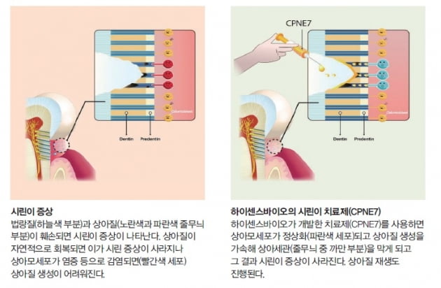 하이센스바이오의 연구인력 10명 중 2명은 치아 관련 연구자, 나머지는 치아가 아닌 다른 분야와 관련된 연구자다. / 김영우 기자