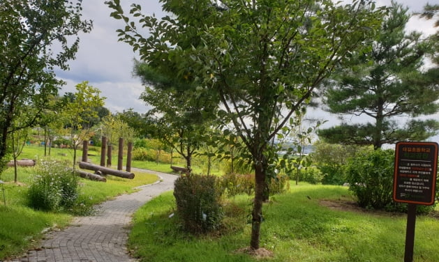 학교 숲 조성 우수학교에 울산 남구 청솔초 선정