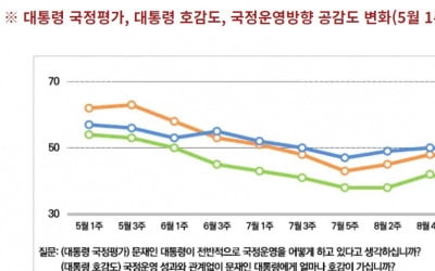 여론 46% "우리나라, 올바르지 않은 방향으로 가고 있다"