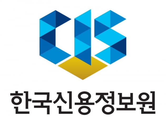 한국신용정보원, '맞춤형DB' 시범서비스 추진