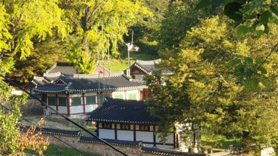 한반도 '최약국' 조선…붕괴될 수밖에 없던 6가지 이유 [윤명철의 한국, 한국인 재발견]