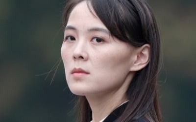 "韓정부, 美대선 전 김여정 방미 추진"…외교부 "사실 아니다"