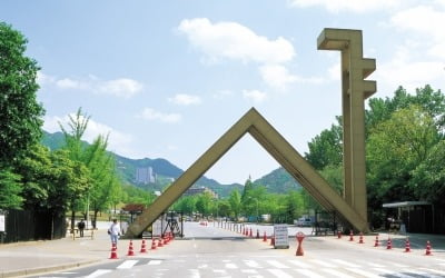 "부모찬스는 이렇게 사용해요"…서울대 교수의 '민낯'