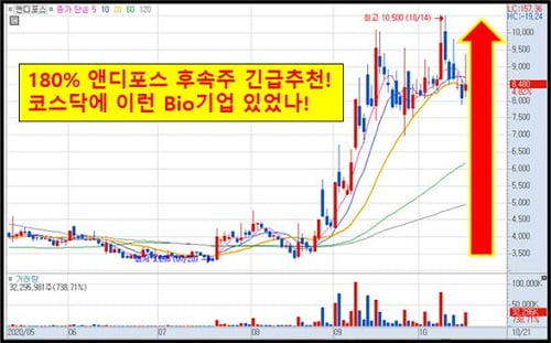 180% 앤디포스 후속주 긴급추천!