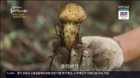 '김영철의 동네 한 바퀴'(사진=방송 화면 캡처)