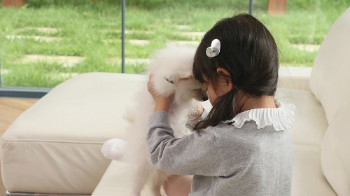 [2020 대한민국 반려동물 브랜드대상] 페츠모아(PETZMOA), 냄새 잡는 반려동물용 요술배변패드