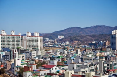 "2주 만에 2억 올랐다"…투기장된 비규제 '천안' 부동산