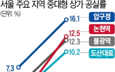 강남 핫플레이스마저 휘청…압구정·논현역 '텅 빈 상가' 속출