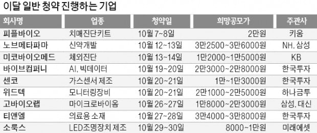 50여社, 연내 IPO…빅히트 주가에 촉각