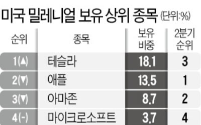 美 2030개미도 '테슬라 사랑'…서학개미처럼 가장 많이 샀다