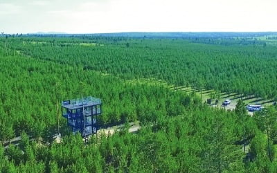 유한킴벌리, 숲 보호·女 인권 향상 앞장…'100년 기업' 향해 뛴다