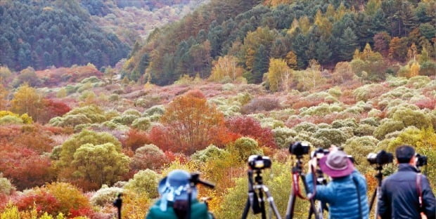 [포토] 옷 갈아입는 인제 ‘비밀의 정원’ 