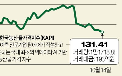 연휴 끝나자…배추·무 등 가격 32.5% 하락