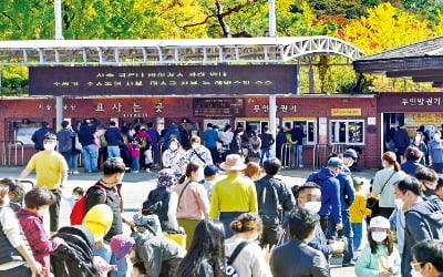 [포토] 거리두기 완화…북적이는 서울대공원