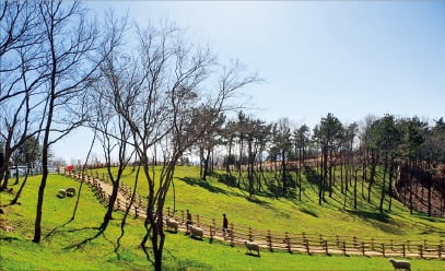                                          거제 숲소리공원 경상남도 제공 