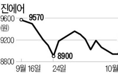 주가 잘버틴 진에어, 유상증자도 '청신호'