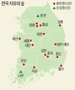 '코로나 블루' 날리고, 면역력 키우고…단풍 드는 숲길 걸어보세요