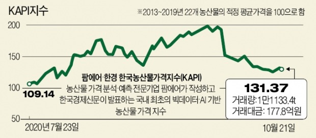 김장철 출하 늘자…배추값 14%, 무 11%↓