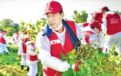 밤섬 생태계 보호·재생에너지 나눔…LG화학 '친환경 경영' 속도