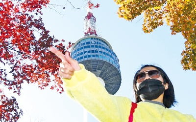 [포토] 남산은 단풍, 덕유산엔 얼음꽃이…가을과 겨울 사이, 마음에 행복이 쌓였으면